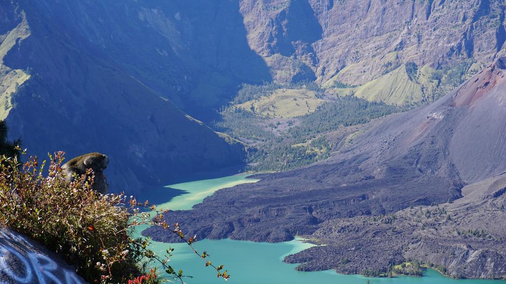 Rinjani Trails Hotel Сенару Экстерьер фото